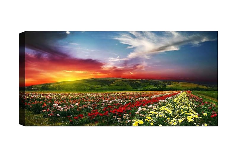 Canvastavla YTY Floral & Botanical Flerfärgad - 120x50 cm - Inredning - Tavlor & posters - Canvastavla