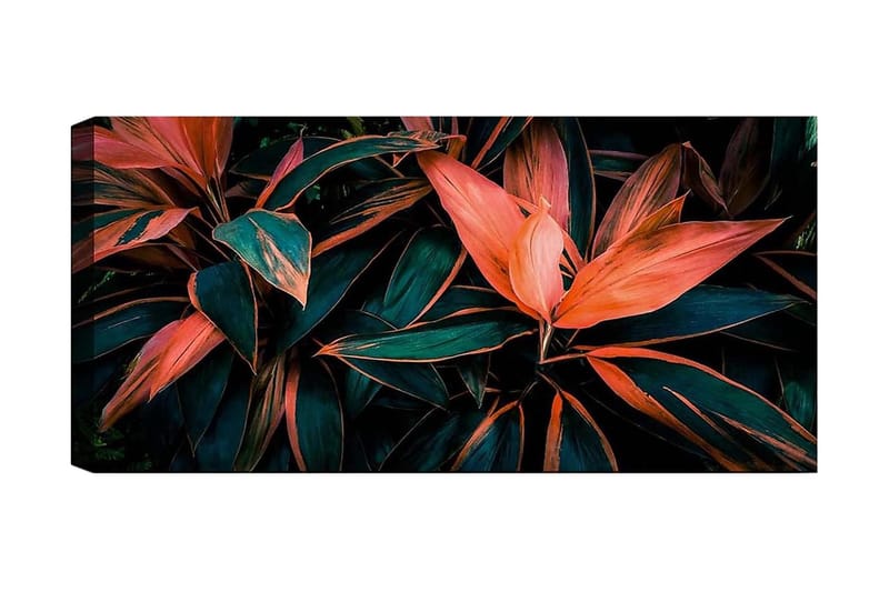 Canvastavla YTY Floral & Botanical Flerfärgad - 120x50 cm - Inredning - Tavlor & posters - Canvastavla