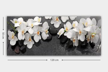 Canvastavla YTY Floral & Botanical Flerfärgad - 120x50 cm - Inredning - Tavlor & posters - Canvastavla