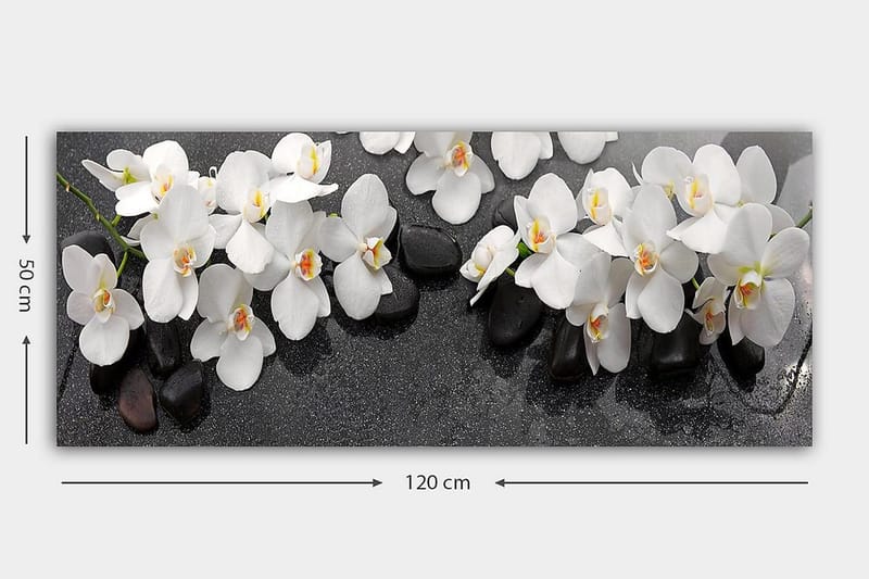 Canvastavla YTY Floral & Botanical Flerfärgad - 120x50 cm - Inredning - Tavlor & posters - Canvastavla