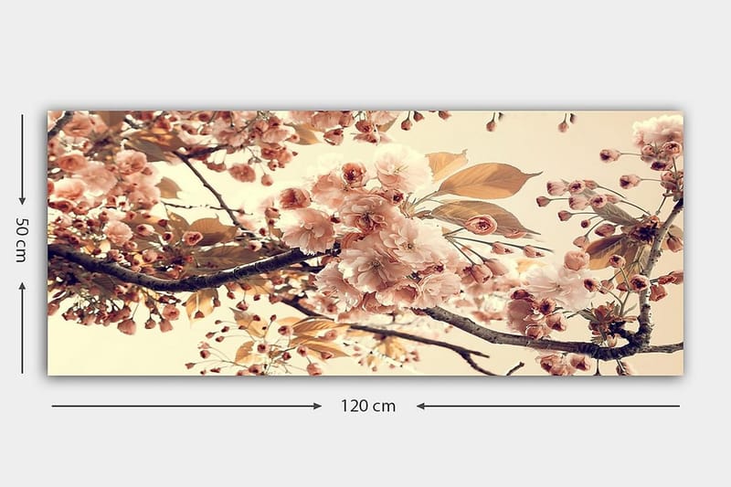 Canvastavla YTY Floral & Botanical Flerfärgad - 120x50 cm - Inredning - Tavlor & posters - Canvastavla