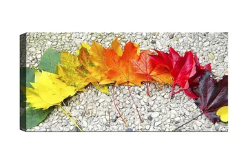 Canvastavla YTY Floral & Botanical Flerfärgad - 120x50 cm - Inredning - Tavlor & posters - Canvastavla