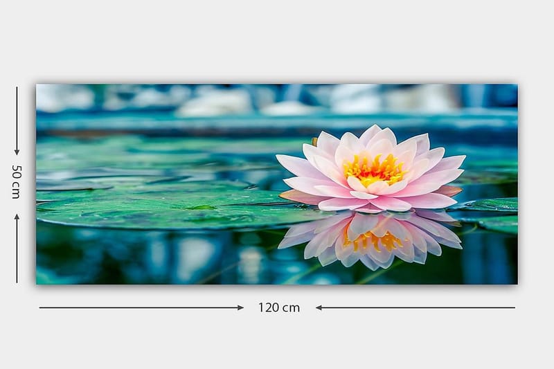 Canvastavla YTY Floral & Botanical Flerfärgad - 120x50 cm - Inredning - Tavlor & posters - Canvastavla