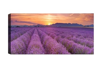 Canvastavla YTY Floral & Botanical Flerfärgad - 120x50 cm - Inredning - Tavlor & posters - Canvastavla