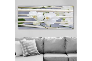 Canvastavla YTY Floral & Botanical Flerfärgad - 120x50 cm - Inredning - Tavlor & posters - Canvastavla
