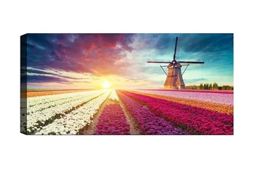 Canvastavla YTY Floral & Botanical Flerfärgad - 120x50 cm - Inredning - Tavlor & posters - Canvastavla