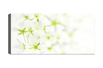 Canvastavla YTY Floral & Botanical Flerfärgad - 120x50 cm - Inredning - Tavlor & posters - Canvastavla