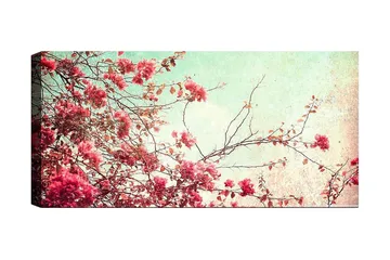 Canvastavla YTY Floral & Botanical Flerfärgad - 120x50 cm - Inredning - Tavlor & posters - Canvastavla