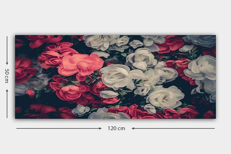 Canvastavla YTY Floral & Botanical Flerfärgad - 120x50 cm - Inredning - Tavlor & posters - Canvastavla