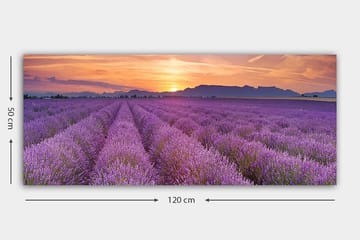 Canvastavla YTY Floral & Botanical Flerfärgad - 120x50 cm - Inredning - Tavlor & posters - Canvastavla