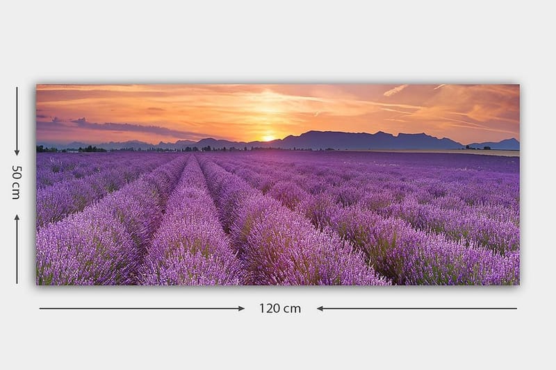 Canvastavla YTY Floral & Botanical Flerfärgad - 120x50 cm - Inredning - Tavlor & posters - Canvastavla