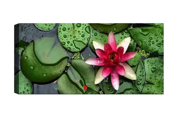 Canvastavla YTY Floral & Botanical Flerfärgad - 120x50 cm - Inredning - Tavlor & posters - Canvastavla