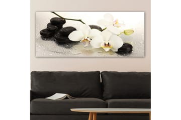 Canvastavla YTY Floral & Botanical Flerfärgad - 120x50 cm - Inredning - Tavlor & posters - Canvastavla