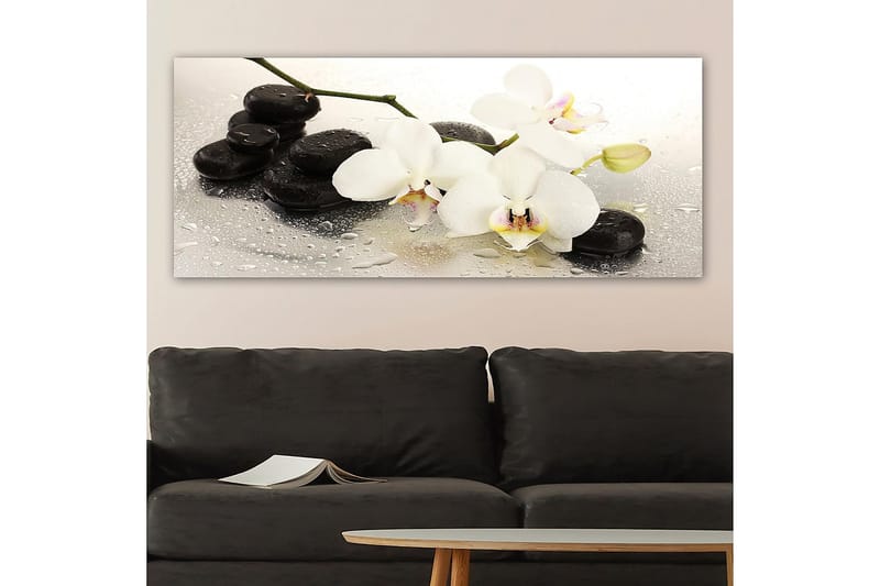 Canvastavla YTY Floral & Botanical Flerfärgad - 120x50 cm - Inredning - Tavlor & posters - Canvastavla