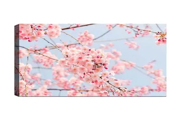 Canvastavla YTY Floral & Botanical Flerfärgad - 120x50 cm - Inredning - Tavlor & posters - Canvastavla