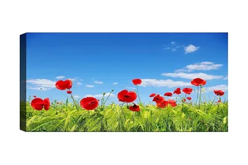 Canvastavla YTY Floral & Botanical Flerfärgad - 120x50 cm - Inredning - Tavlor & posters - Canvastavla