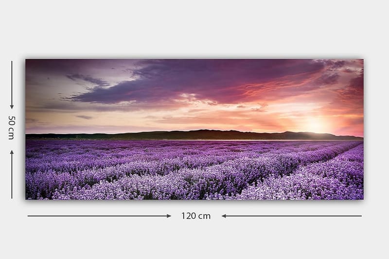 Canvastavla YTY Floral & Botanical Flerfärgad - 120x50 cm - Inredning - Tavlor & posters - Canvastavla