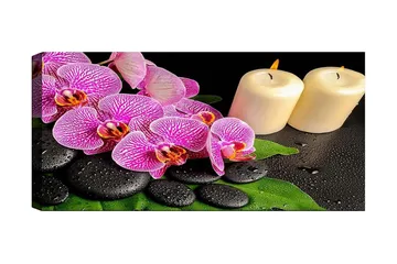 Canvastavla YTY Floral & Botanical Flerfärgad - 120x50 cm - Inredning - Tavlor & posters - Canvastavla