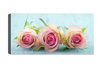 Canvastavla YTY Floral & Botanical Flerfärgad - 120x50 cm - Inredning - Tavlor & posters - Canvastavla