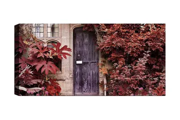 Canvastavla YTY Floral & Botanical Flerfärgad - 120x50 cm - Inredning - Tavlor & posters - Canvastavla