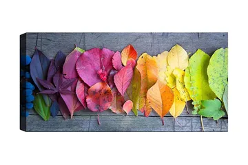 Canvastavla YTY Floral & Botanical Flerfärgad - 120x50 cm - Inredning - Tavlor & posters - Canvastavla