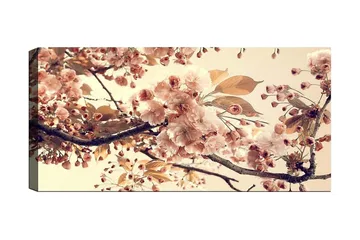 Canvastavla YTY Floral & Botanical Flerfärgad - 120x50 cm - Inredning - Tavlor & posters - Canvastavla