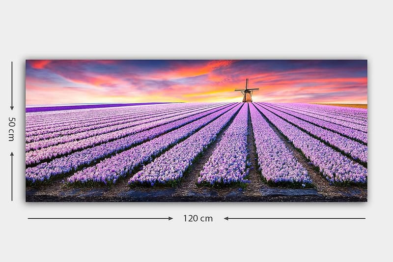 Canvastavla YTY Floral & Botanical Flerfärgad - 120x50 cm - Inredning - Tavlor & posters - Canvastavla