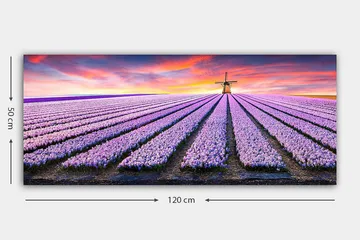 Canvastavla YTY Floral & Botanical Flerfärgad - 120x50 cm - Inredning - Tavlor & posters - Canvastavla