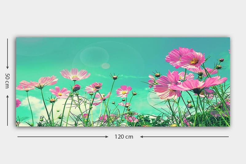 Canvastavla YTY Floral & Botanical Flerfärgad - 120x50 cm - Inredning - Tavlor & posters - Canvastavla