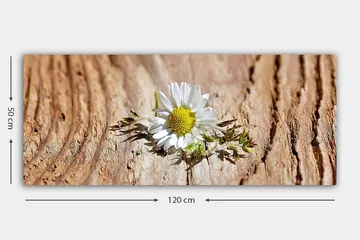 Canvastavla YTY Floral & Botanical Flerfärgad - 120x50 cm - Inredning - Tavlor & posters - Canvastavla