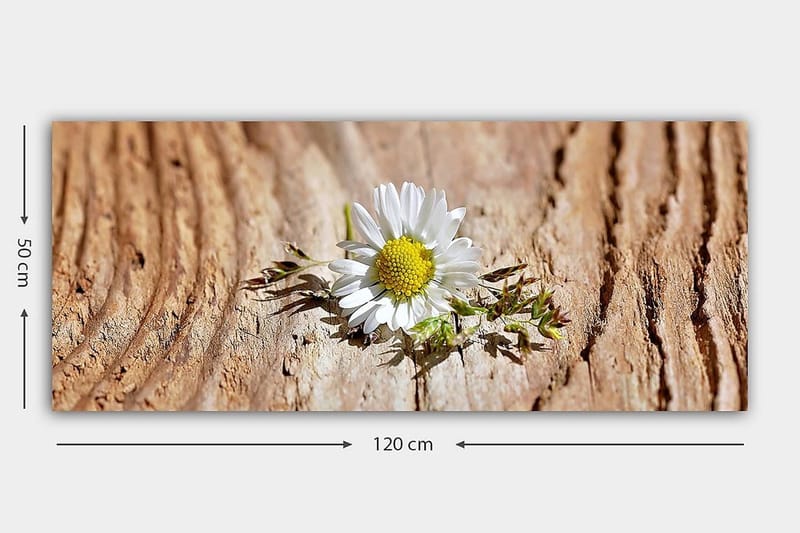 Canvastavla YTY Floral & Botanical Flerfärgad - 120x50 cm - Inredning - Tavlor & posters - Canvastavla