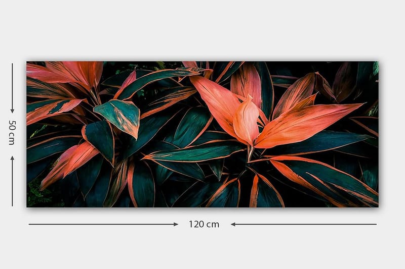 Canvastavla YTY Floral & Botanical Flerfärgad - 120x50 cm - Inredning - Tavlor & posters - Canvastavla