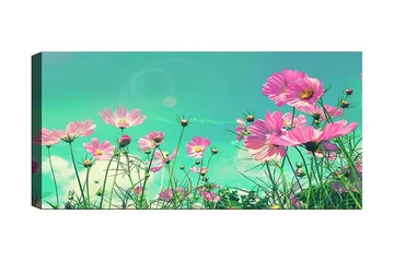 Canvastavla YTY Floral & Botanical Flerfärgad - 120x50 cm - Inredning - Tavlor & posters - Canvastavla