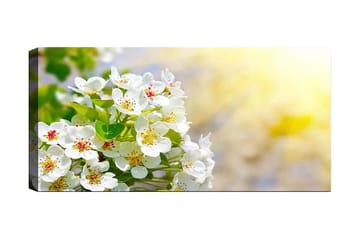 Canvastavla YTY Floral & Botanical Flerfärgad - 120x50 cm - Inredning - Tavlor & posters - Canvastavla