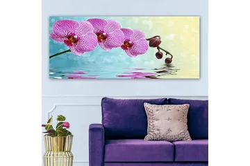 Canvastavla YTY Floral & Botanical Flerfärgad - 120x50 cm - Inredning - Tavlor & posters - Canvastavla