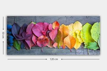 Canvastavla YTY Floral & Botanical Flerfärgad - 120x50 cm - Inredning - Tavlor & posters - Canvastavla