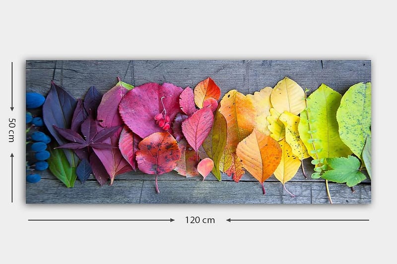 Canvastavla YTY Floral & Botanical Flerfärgad - 120x50 cm - Inredning - Tavlor & posters - Canvastavla
