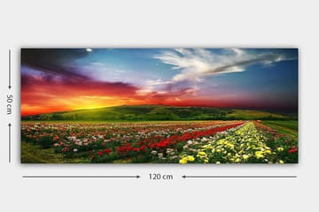 Canvastavla YTY Floral & Botanical Flerfärgad - 120x50 cm - Inredning - Tavlor & posters - Canvastavla