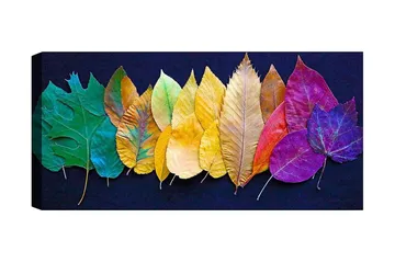 Canvastavla YTY Floral & Botanical Flerfärgad - 120x50 cm - Inredning - Tavlor & posters - Canvastavla