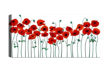 Canvastavla YTY Floral & Botanical Flerfärgad - 120x50 cm - Inredning - Tavlor & posters - Canvastavla