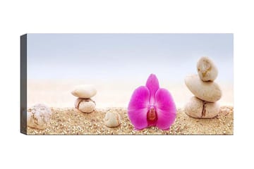 Canvastavla YTY Floral & Botanical Flerfärgad - 120x50 cm - Inredning - Tavlor & posters - Canvastavla