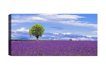 Canvastavla YTY Floral & Botanical Flerfärgad - 120x50 cm - Inredning - Tavlor & posters - Canvastavla