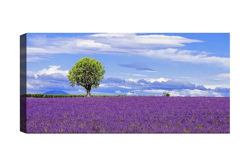 Canvastavla YTY Floral & Botanical Flerfärgad, 120x50 cm