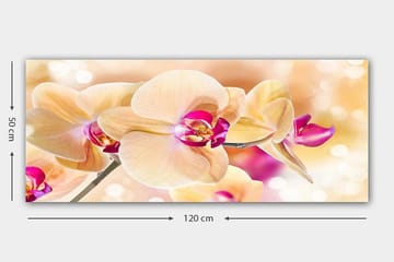 Canvastavla YTY Floral & Botanical Flerfärgad - 120x50 cm - Inredning - Tavlor & posters - Canvastavla
