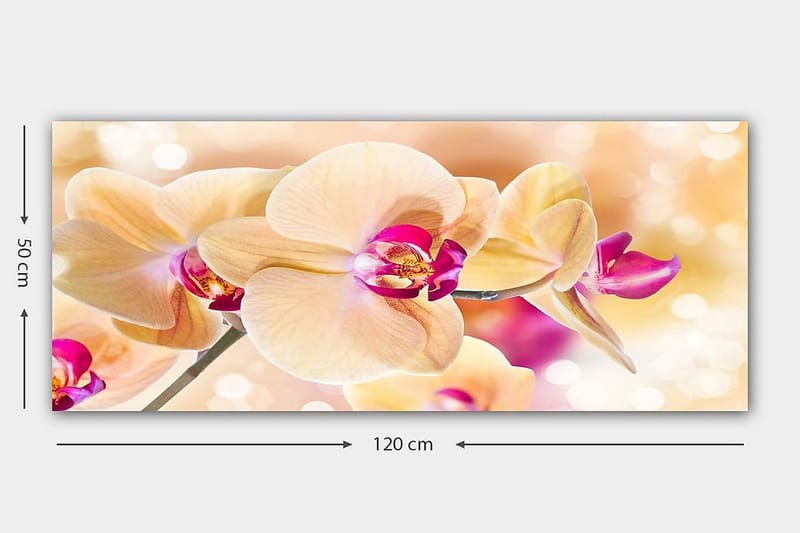 Canvastavla YTY Floral & Botanical Flerfärgad - 120x50 cm - Inredning - Tavlor & posters - Canvastavla