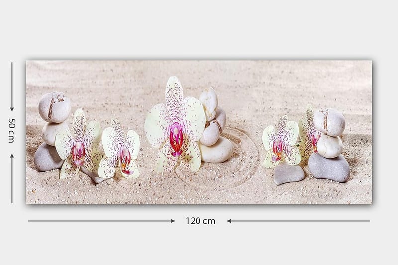 Canvastavla YTY Floral & Botanical Flerfärgad - 120x50 cm - Inredning - Tavlor & posters - Canvastavla