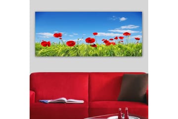 Canvastavla YTY Floral & Botanical Flerfärgad - 120x50 cm - Inredning - Tavlor & posters - Canvastavla