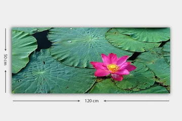 Canvastavla YTY Floral & Botanical Flerfärgad - 120x50 cm - Inredning - Tavlor & posters - Canvastavla