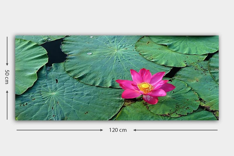 Canvastavla YTY Floral & Botanical Flerfärgad - 120x50 cm - Inredning - Tavlor & posters - Canvastavla