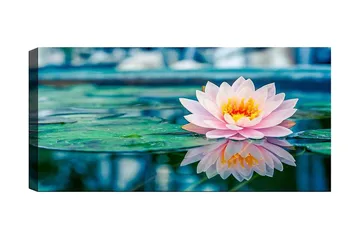 Canvastavla YTY Floral & Botanical Flerfärgad - 120x50 cm - Inredning - Tavlor & posters - Canvastavla